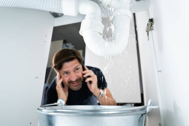 Best Leak Detection Services  in Woodward, IA